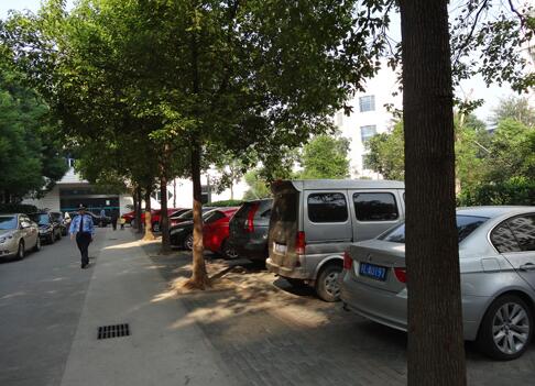 揚中物業(yè)為提高救援能力開展實戰(zhàn)演習